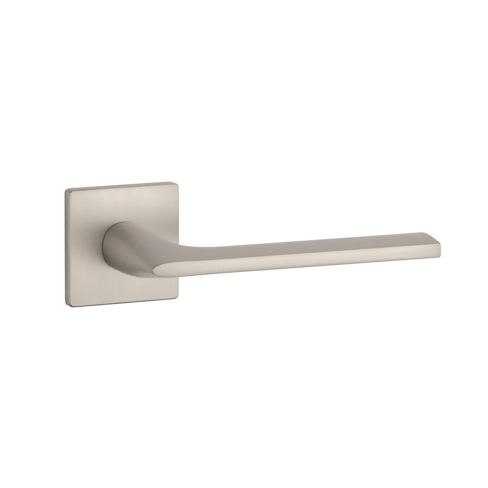 Aprile Salvia Q — Nickel